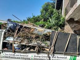 Best Yard Waste Removal  in Roanoke, AL